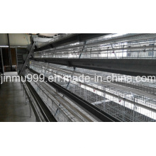 Cage de poulet pour la couche de poules 90bird / Set